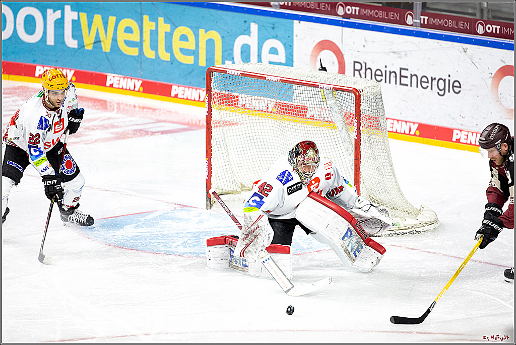 PENNY DEL;  Koelner Haie - Fischtown Pinguins Bremerhaven; Koeln, 12.02.2021